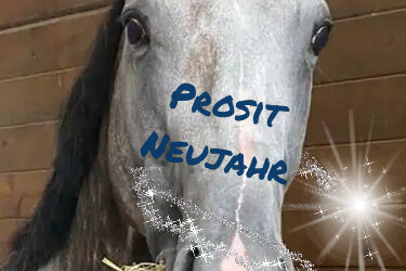 FROHES NEUES JAHR 2022
