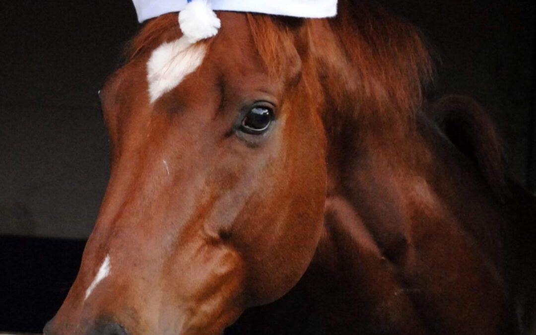 DER NIKOLAUS LÄSST SCHÖN GRÜSSEN
