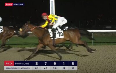 ORDENTLICHES DEBUT IN DV