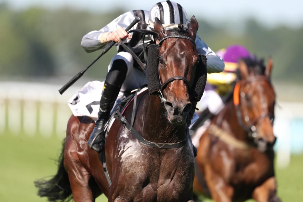 „ITA-König“ IN DEAUVILLE