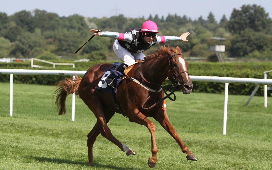 NUR FLIEGEN SCHEINT SCHÖNER