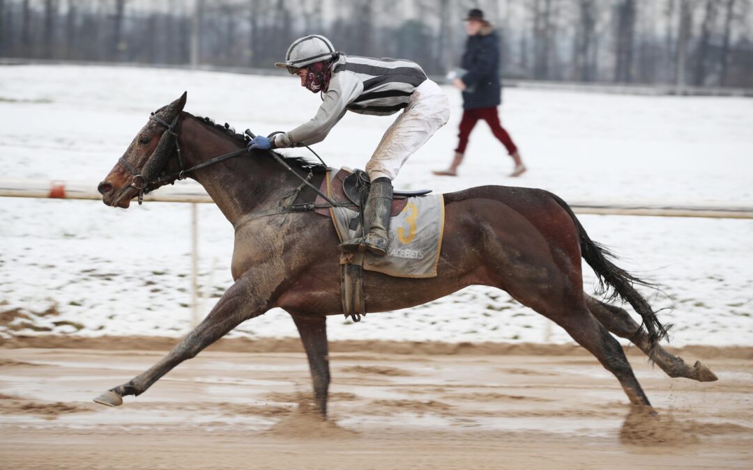 UND JÄHRLICH GRÜSST NUMERION