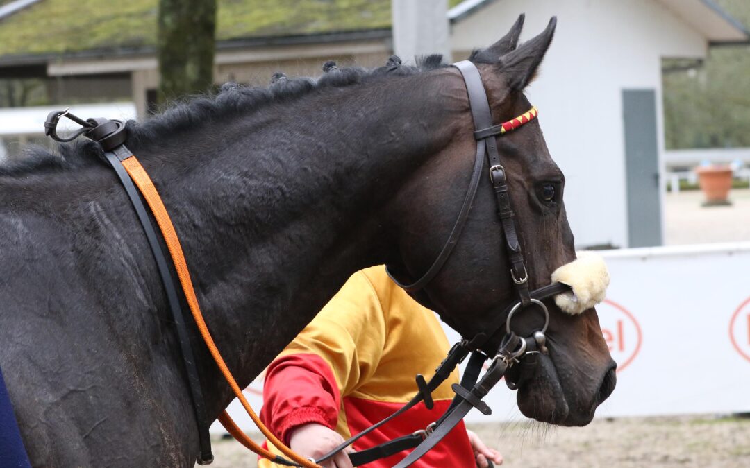 PLATZ SIEBEN ZUM AUFTAKT