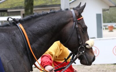 PLATZ SIEBEN ZUM AUFTAKT
