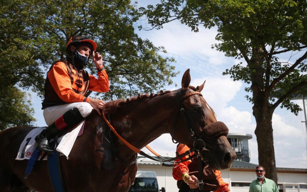 SIR POLSKI LEIDER NICHTSTARTER