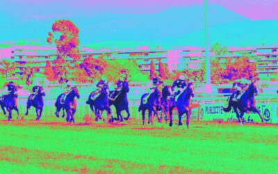 Quatre pour Cagnes