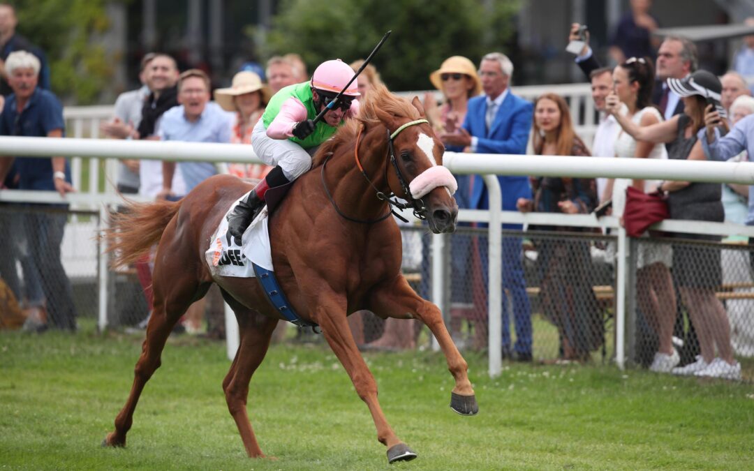 FÜR “SAUDI KNÜLLER” GENANNT