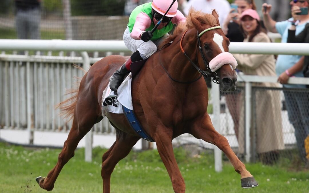 SISFAHAN DIE 104 DER WELT