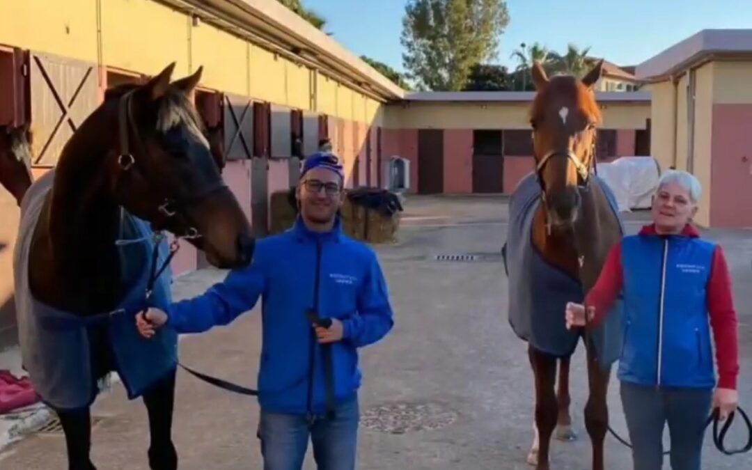 DIE RENNEN KÖNNEN KOMMEN