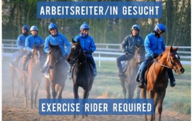 ARBEITSREITER/INNEN GESUCHT