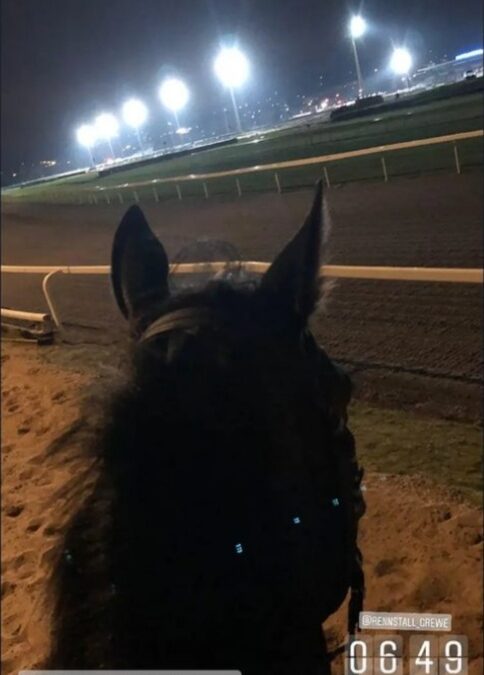 DER FRÜHE VOGEL……