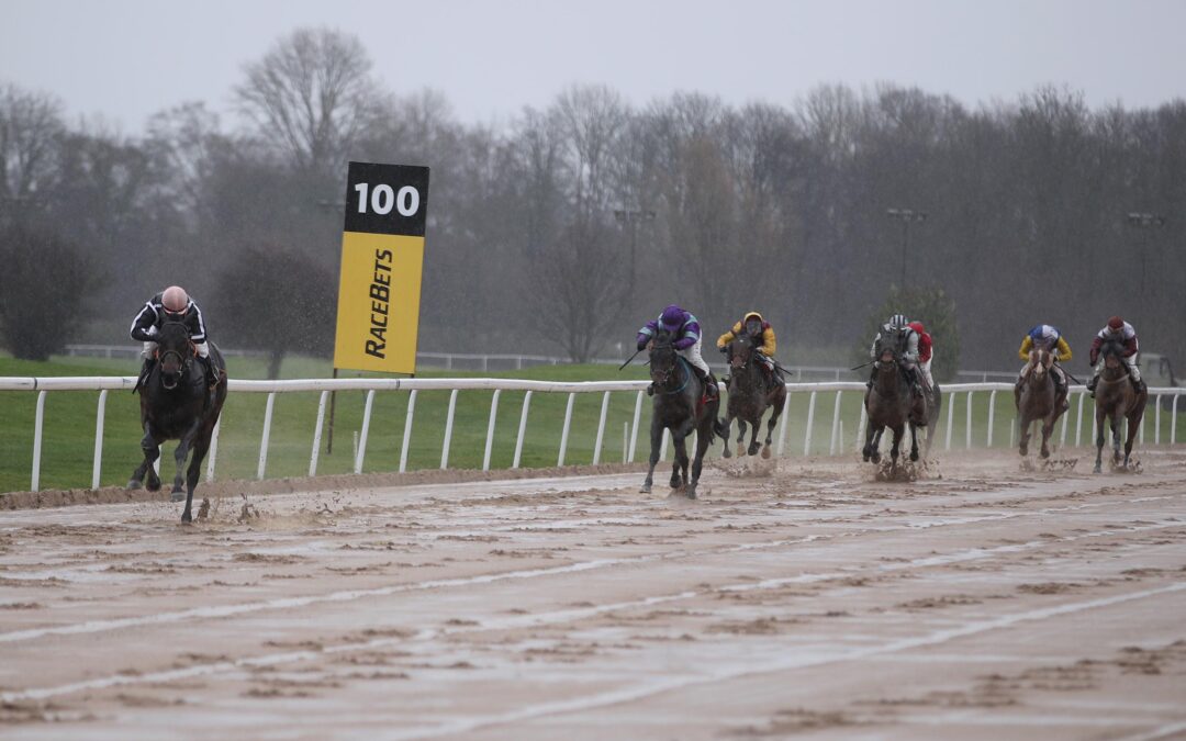 KEIN SIEG ABER NÄCHSTE PLACIERUNG