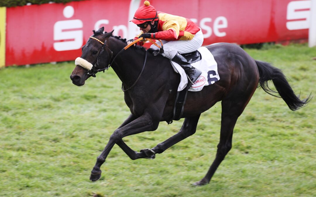 AN TOP LEISTUNGEN ANKNÜPFEN