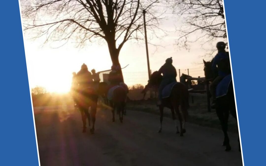 MORGENGRÜßE AUS KÖLN
