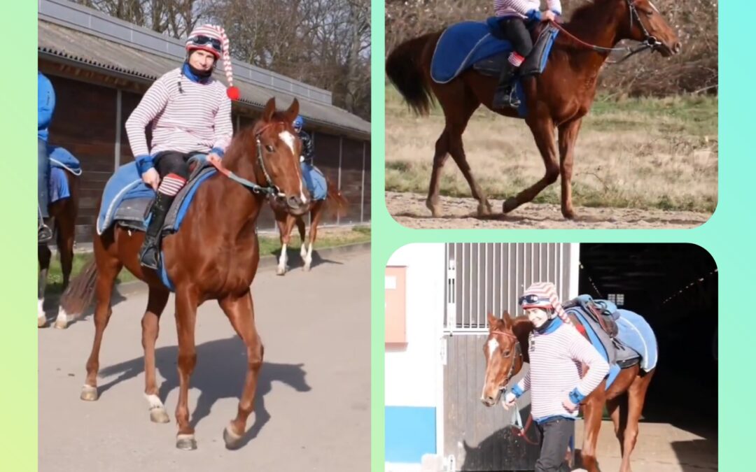 KLEINES LICHT AN EINEM TRAURIGEN TAG