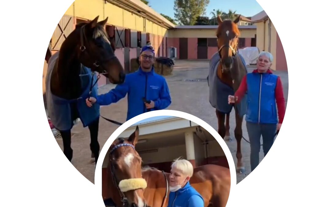 DURCHWACHSENE CAGNES BILANZ