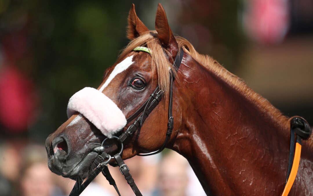 SISFAHAN GEWINNSPIEL