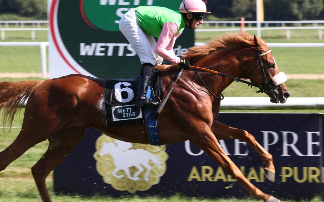 SISFAHAN BRAUCHT IHRE STIMME