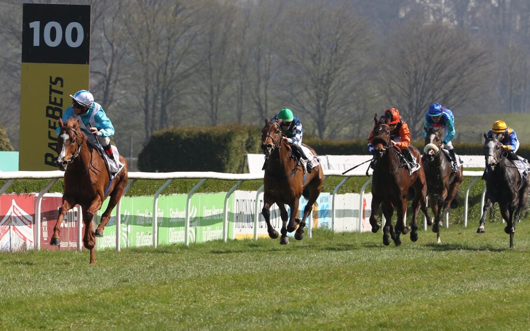 DIESMAL PLATZGELD EINGALOPPIERT