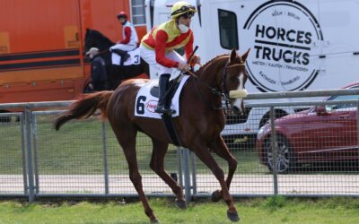 ZWEITER STARTER OHNE CHANCE