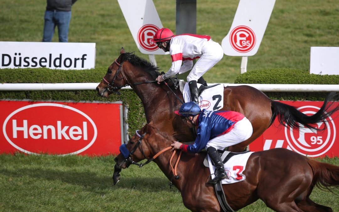 NUR AN STARKEM GEGNER GESCHEITERT