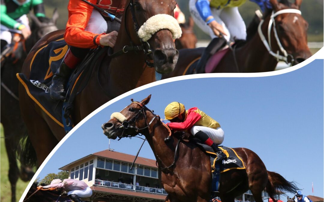 ZWEI CHANCEN IN DORTMUND