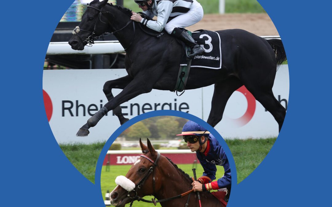 GUT UND TEUER VERKAUFT