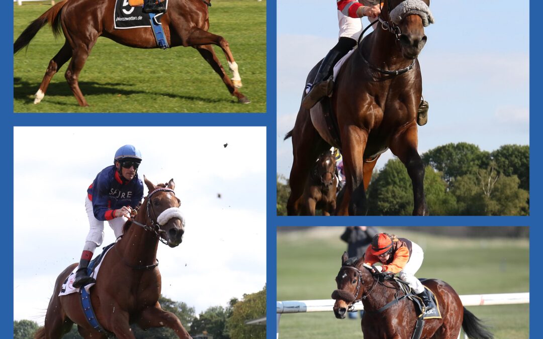 QUARTETT IM BEIPROGRAMM