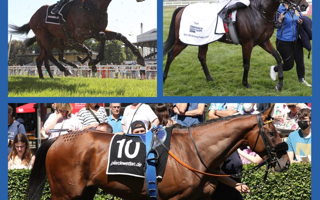 DREI ZUR TITELVERTEIDIGUNG