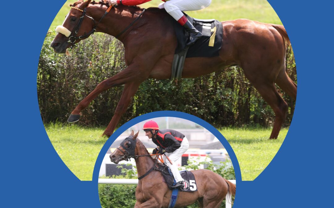 DOPPELSPITZE IN MANNHEIM