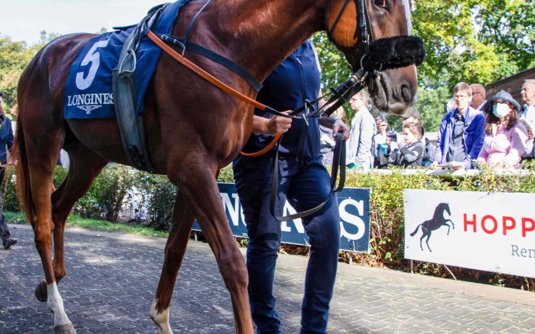 DICAPRIO WIEDER “ZUHAUSE”