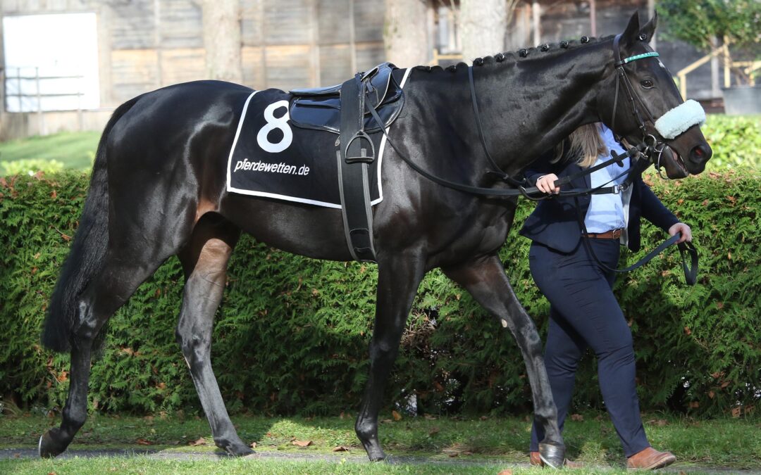 MAX IM MEKKA GEFALLEN