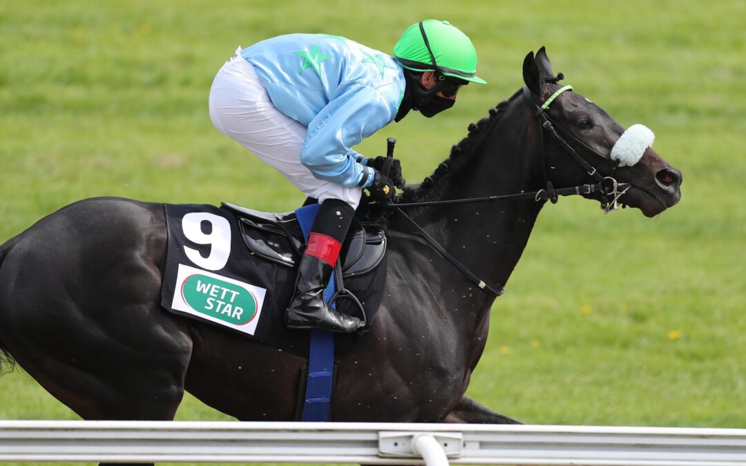 EX GREWE IN CHELTENHAM DABEI