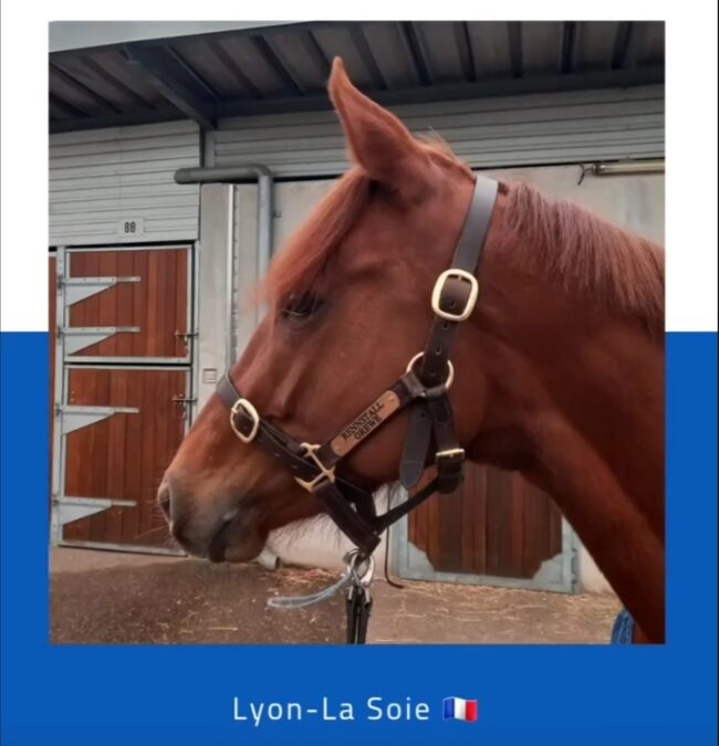 OHNE FINANZIELLE AUSBEUTE