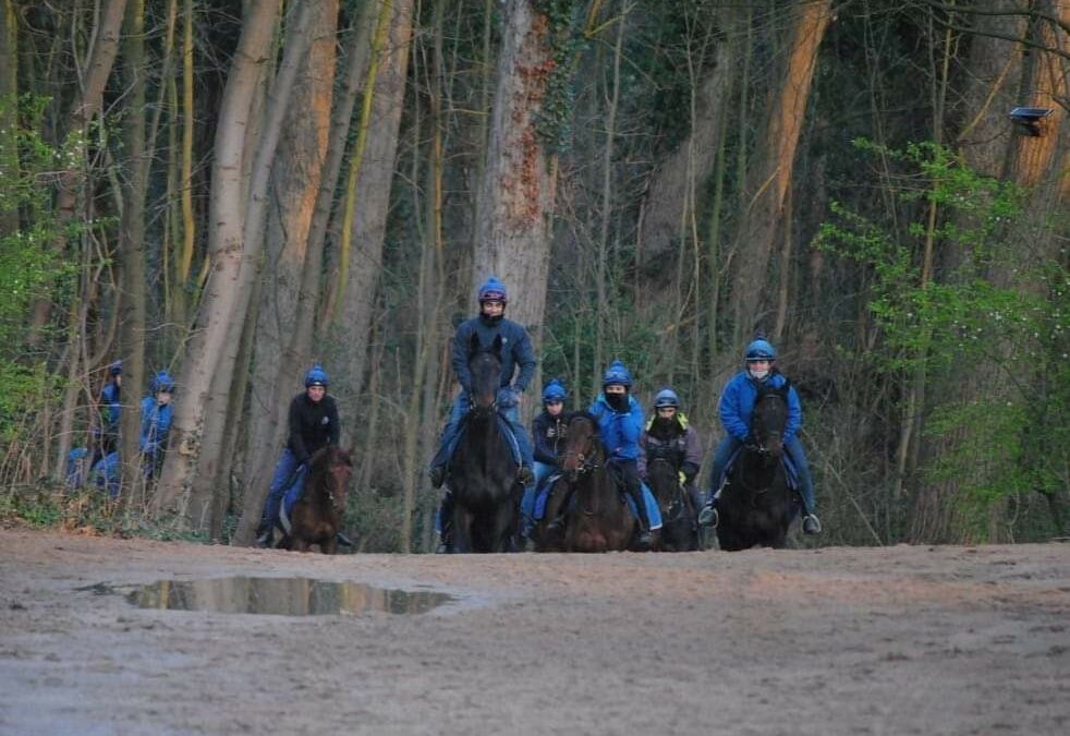 GREWE STALL JETZT DREISTELLIG