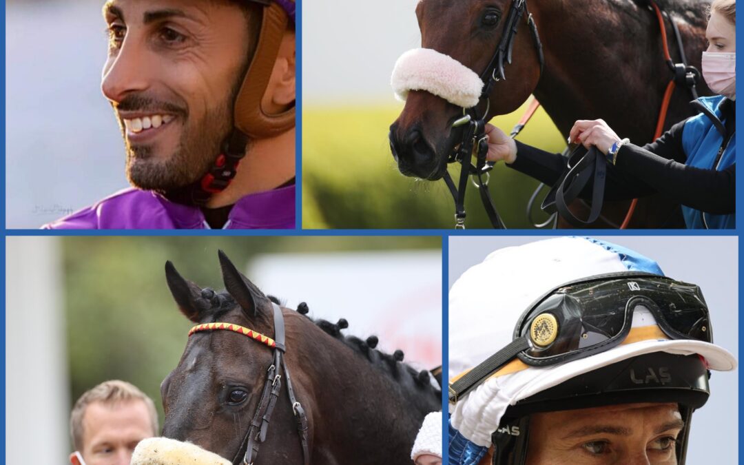 VIER STARTER UND EIN NEUER JOCKEY