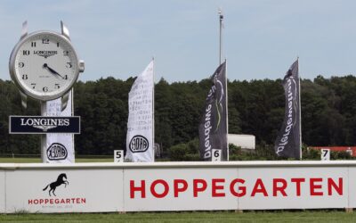 VIER FÜR ZWEIMAL BLACK-TYPE