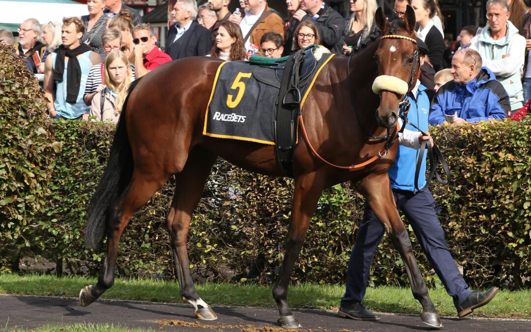 MILLIONAIRE WILL DERBYTICKET