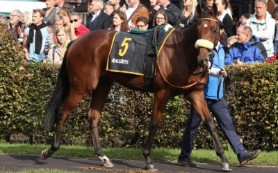 MILLIONAIRE WILL DERBYTICKET