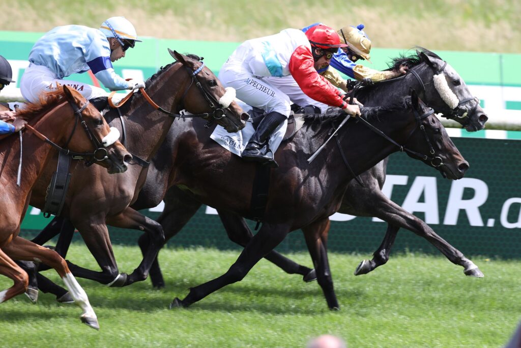 BÄRENSTARKES BLACK-TYPE