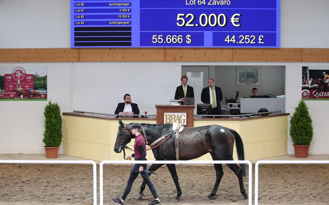 BBAG – 52.000 EURO FÜR ZAVARO
