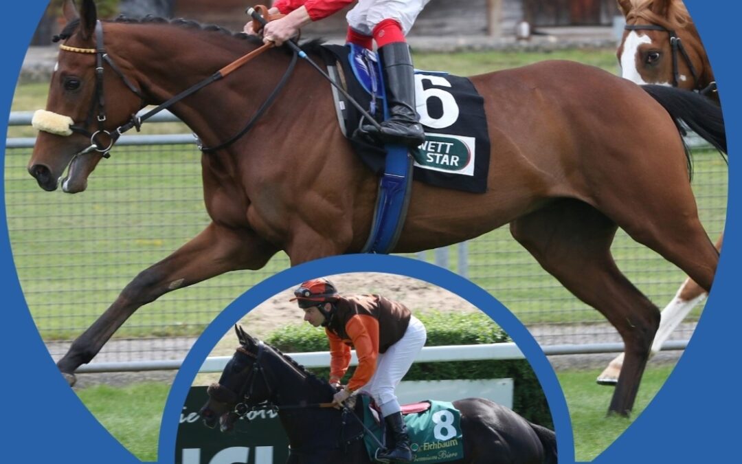 SIEGE UND DERBYStART IM BLICK