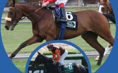 SIEGE UND DERBYStART IM BLICK