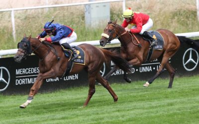 GREWE DERBYKANDITATEN EINS-ZWEI