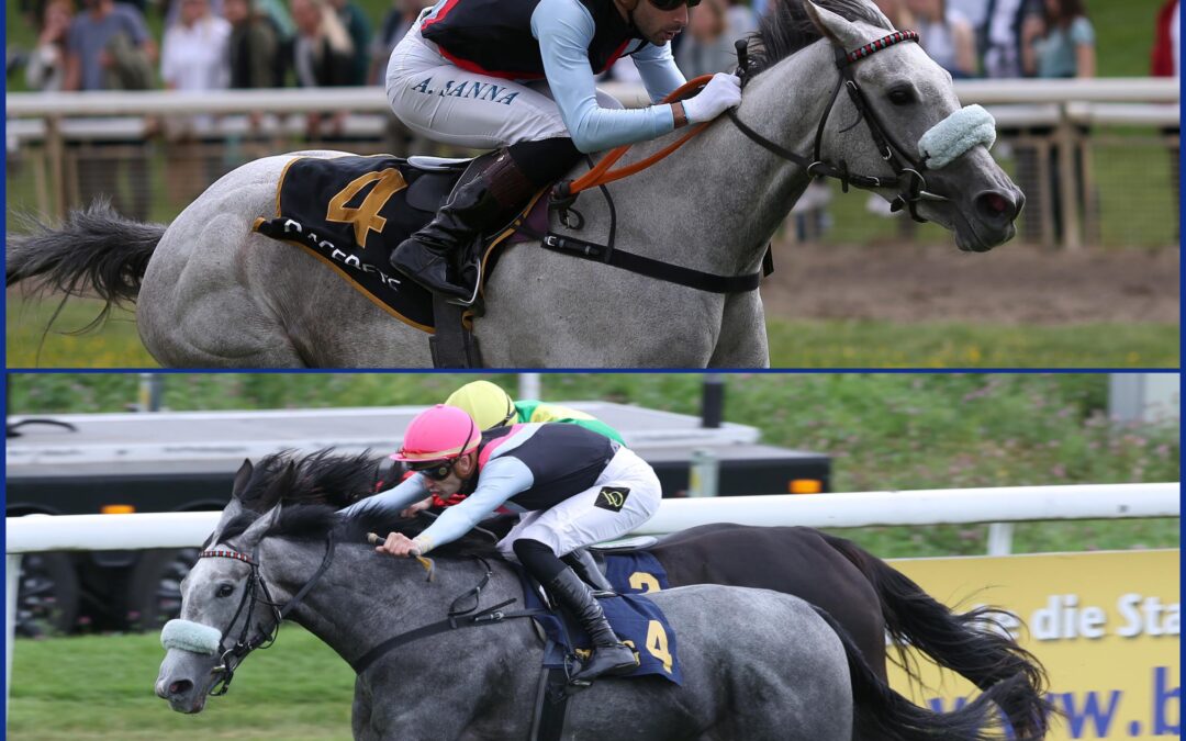 SCHIMMELPOWER IN OAKS D’ITALIA