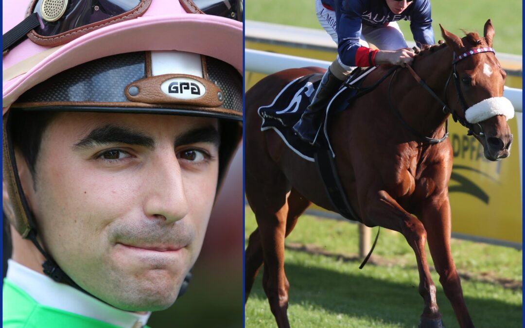 NEUER PARTNER FÜR MAGICAL BEAT