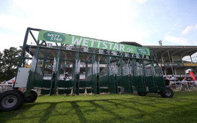 DERBY: ENTSCHEIDUNGEN NAHEN
