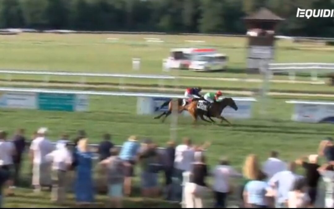 ERNEUT BEZWINGERIN GEFUNDEN