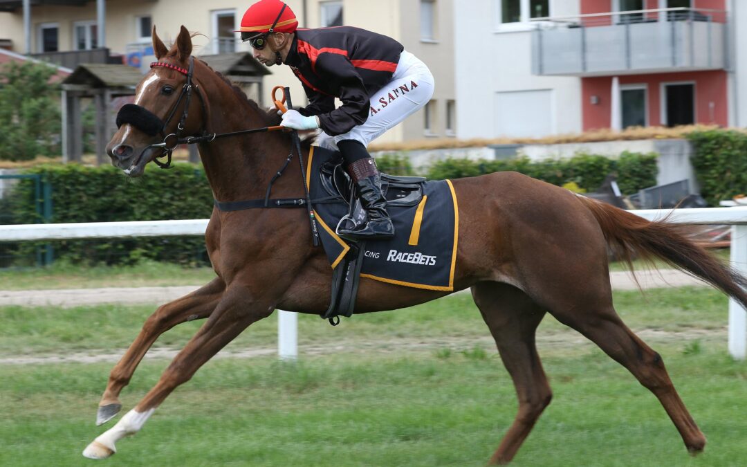 STUTENPOWER IN MÜLHEIM