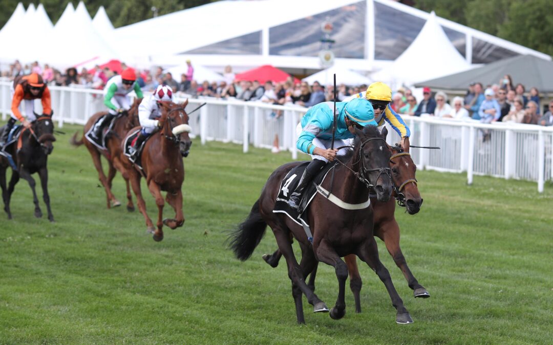 OHNE HONORAR IM HARZ